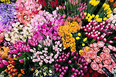 《骑马与砍杀：拿破仑战争》制作者美国内战新作《自由的战吼》Steam页面终于上线